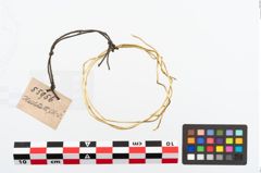 Foto von Goldspiraldrahtarmring (NHMW-PRAE-055956)